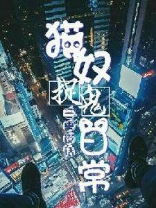 三更夜话:猫奴捉鬼日常