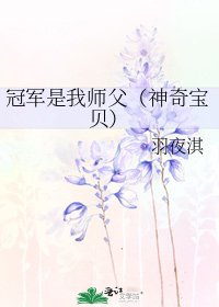 冠军是我师父（神奇宝贝）